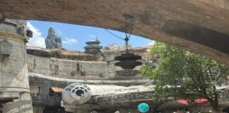 Disney to shut down key theme park app by fall