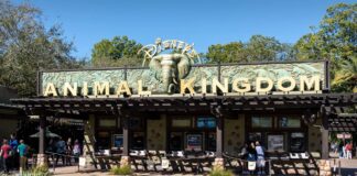 Popular Disney World ride shut down with no explanation