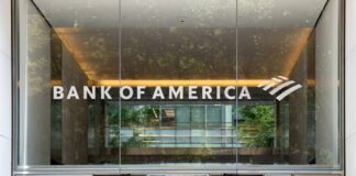 Bank of America doubles down on Nvidia stock