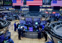 Vivian Tu’s IPO warning lands as SpaceX buyers split by $1,851