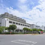 TSMC TSM stock prediction: $610 bull case vs $265 bear case